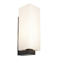 Ramon 1Lt Wall Light Black